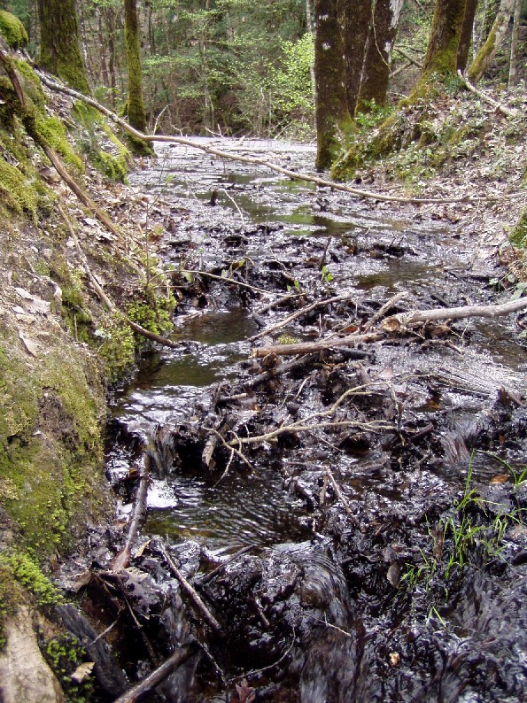 Valle del Farma e Stagno della Troscia: luoghi meravigliosi!